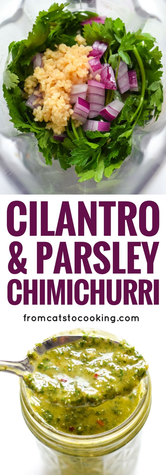 Cilantro Parsley Chimichurri Sauce