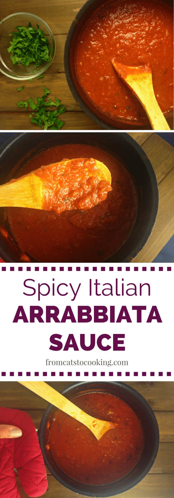 Spicy Italian Arrabbiata Sauce - From Cats to Cooking