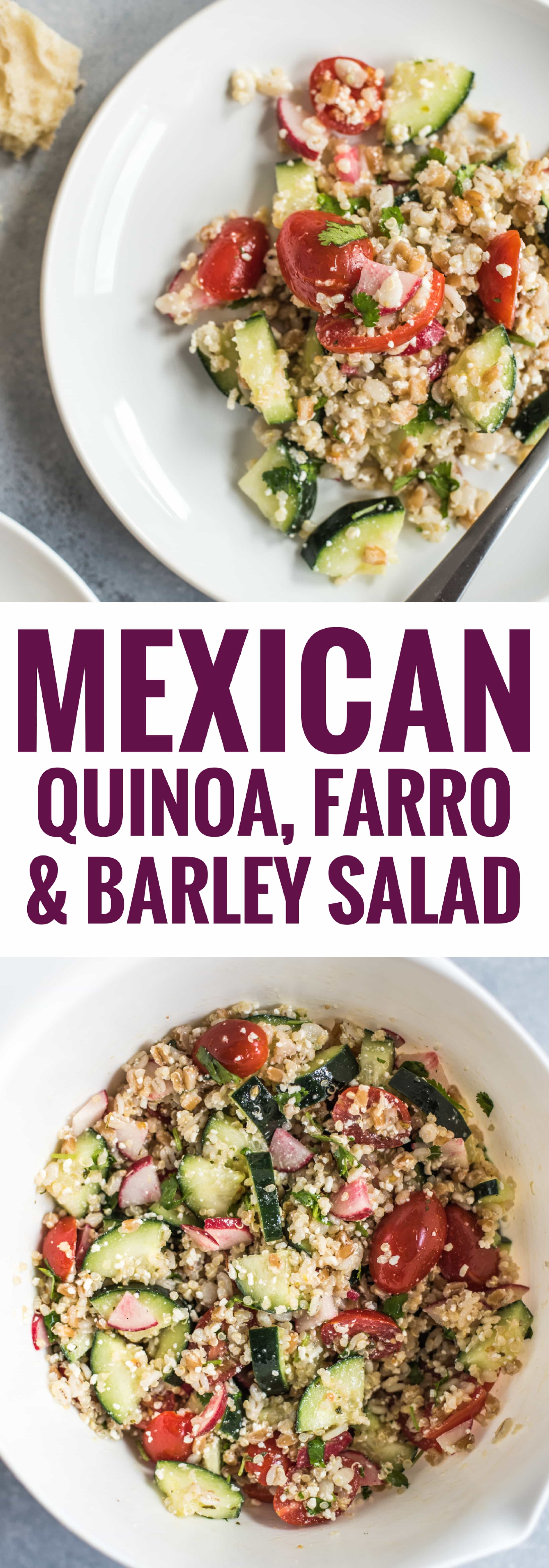 Mexican Quinoa Salad with Farro and Barley {Video}