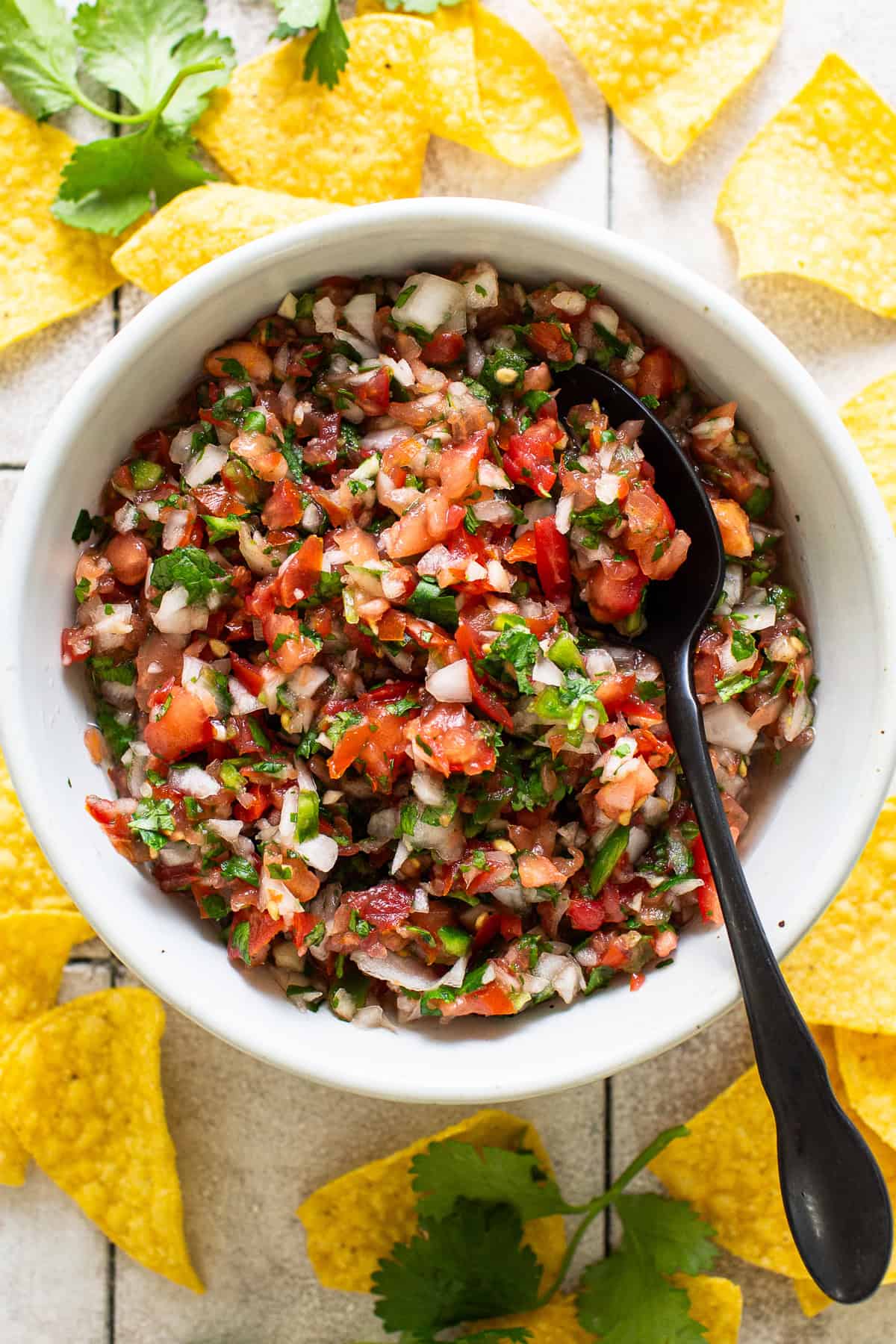 Homemade salsa made from tomatoes, onion, cilantro, jalapeños, and more, in a white bowl surrounded by tortilla chips.