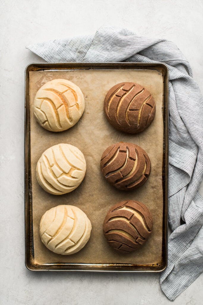 Conchas (Mexican Sweet Bread) - Isabel Eats {Easy Mexican Recipes}