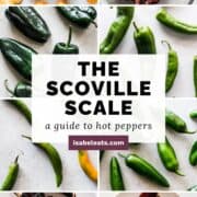 The Scoville Scale - A Guide to Hot Peppers