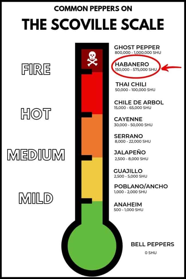 hot pepper scale chart Peppers scoville shu capsaicin tasteatlas ghost ...