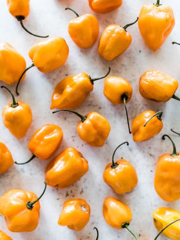 Habanero pepper on a table.