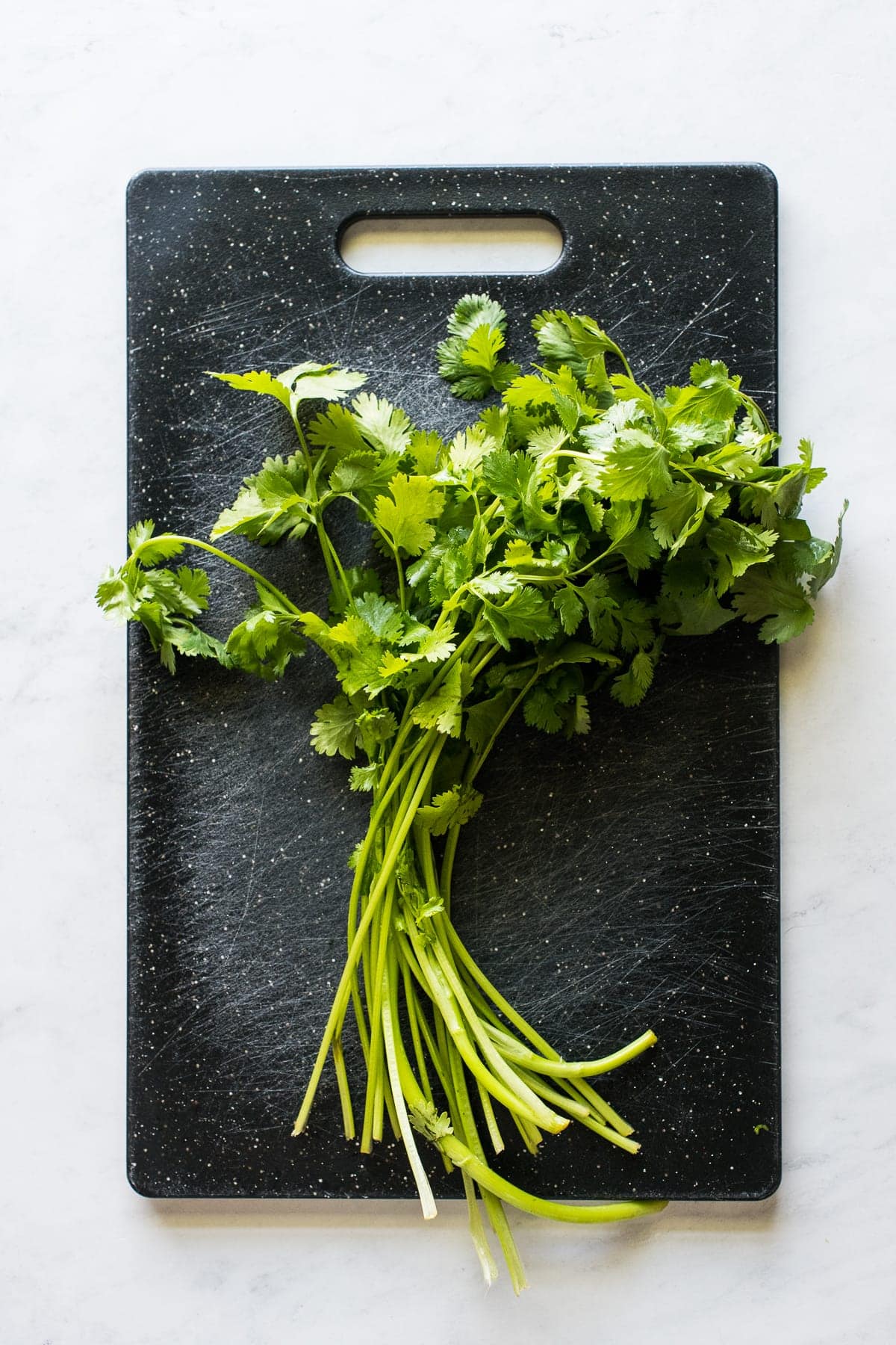 https://www.isabeleats.com/wp-content/uploads/2020/05/how-to-chop-cilantro-small-1.jpg