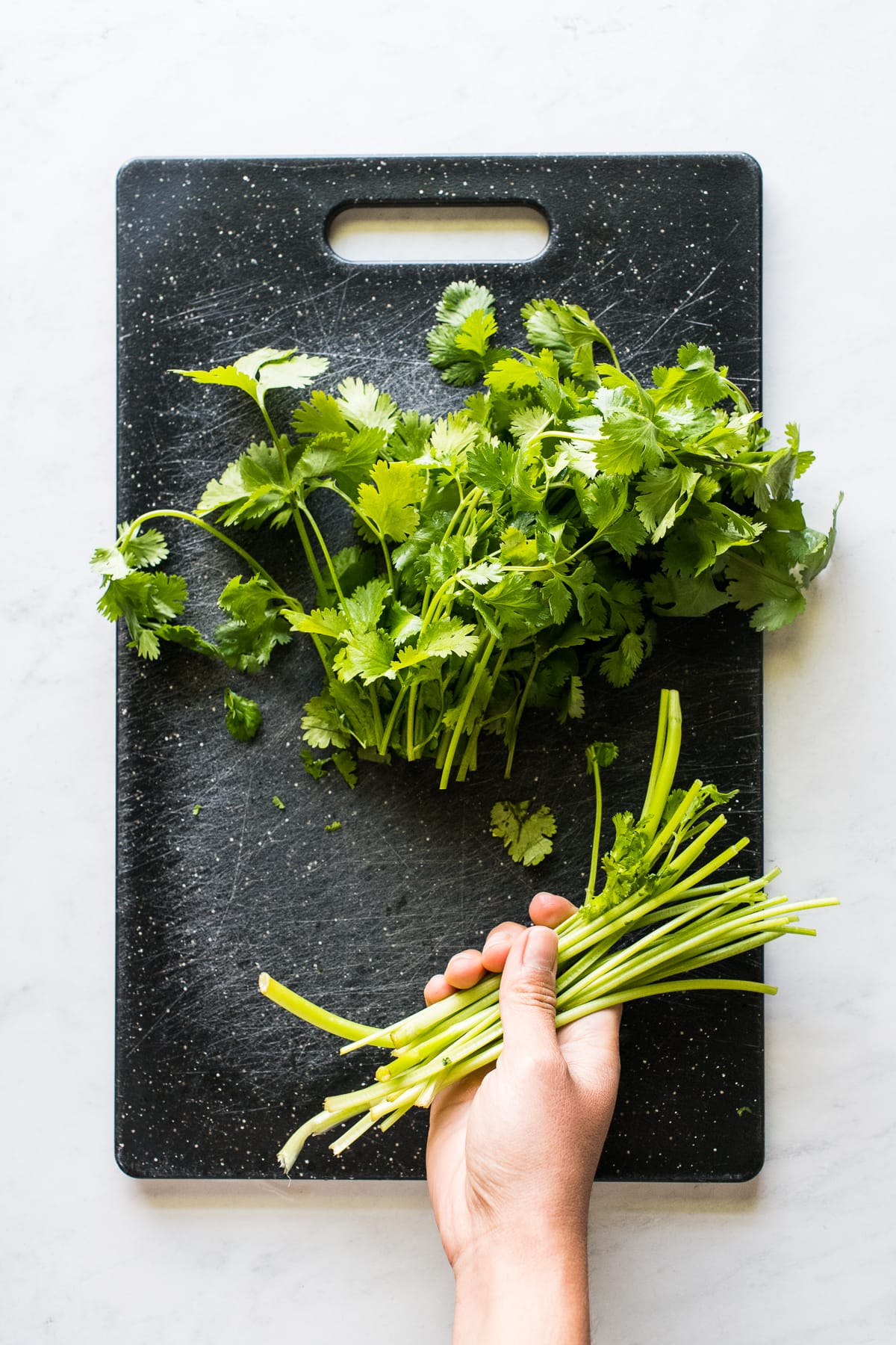 https://www.isabeleats.com/wp-content/uploads/2020/05/how-to-chop-cilantro-small-2.jpg