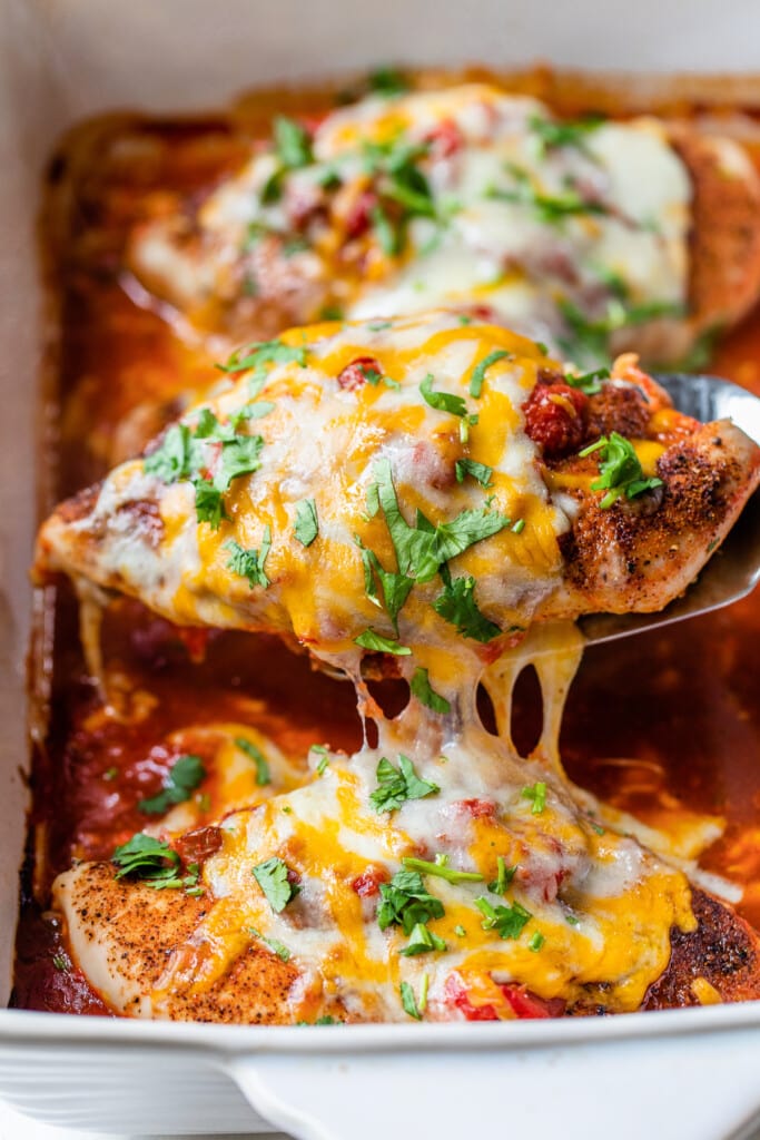 Cheesy Baked Salsa Chicken - Isabel Eats