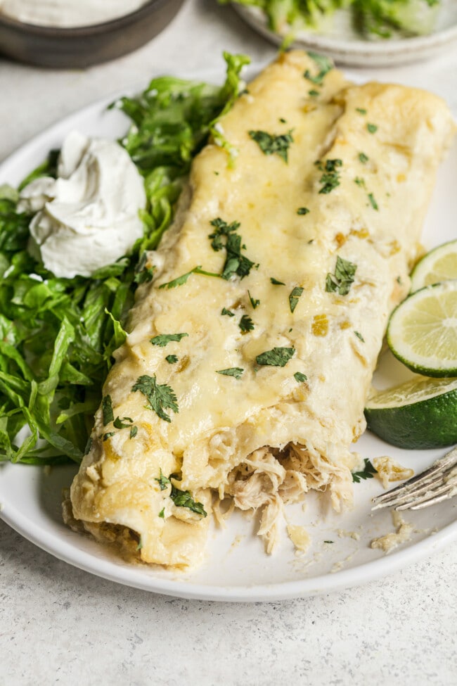 Easy White Chicken Enchiladas - Isabel Eats