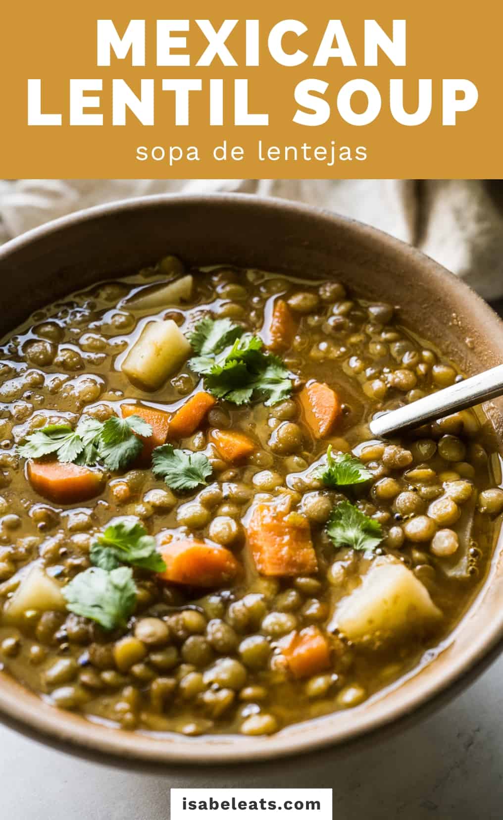 Lentejas (Mexican Lentil Soup) - Isabel Eats