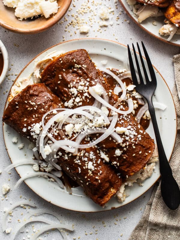 Enmoladas (Chicken Mole Enchiladas) on a plate topped with sesame seeds, queso fresco, and sliced white onions.