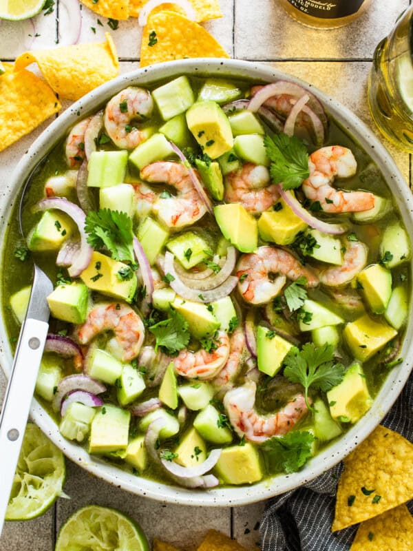 Aguachile in a bowl with tortilla chips on the side.