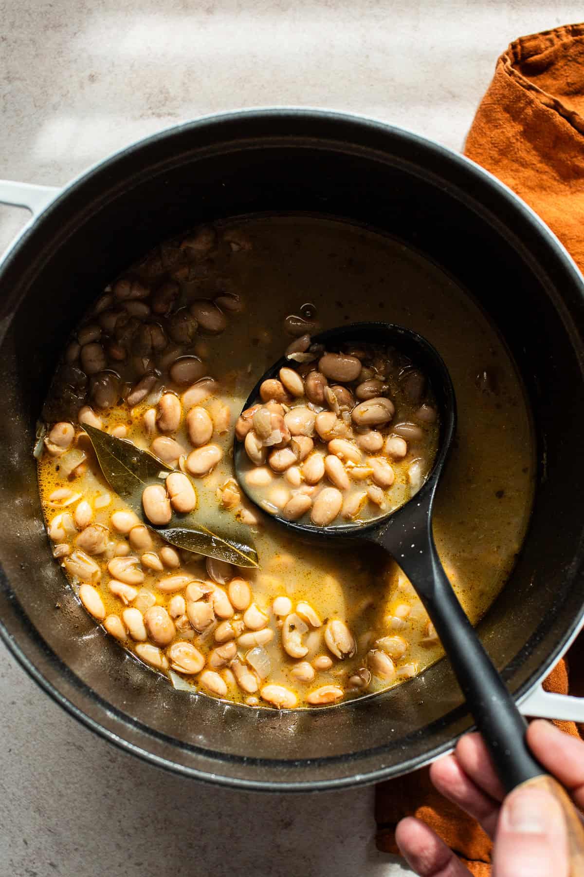 Pinto beans cooked in a pot