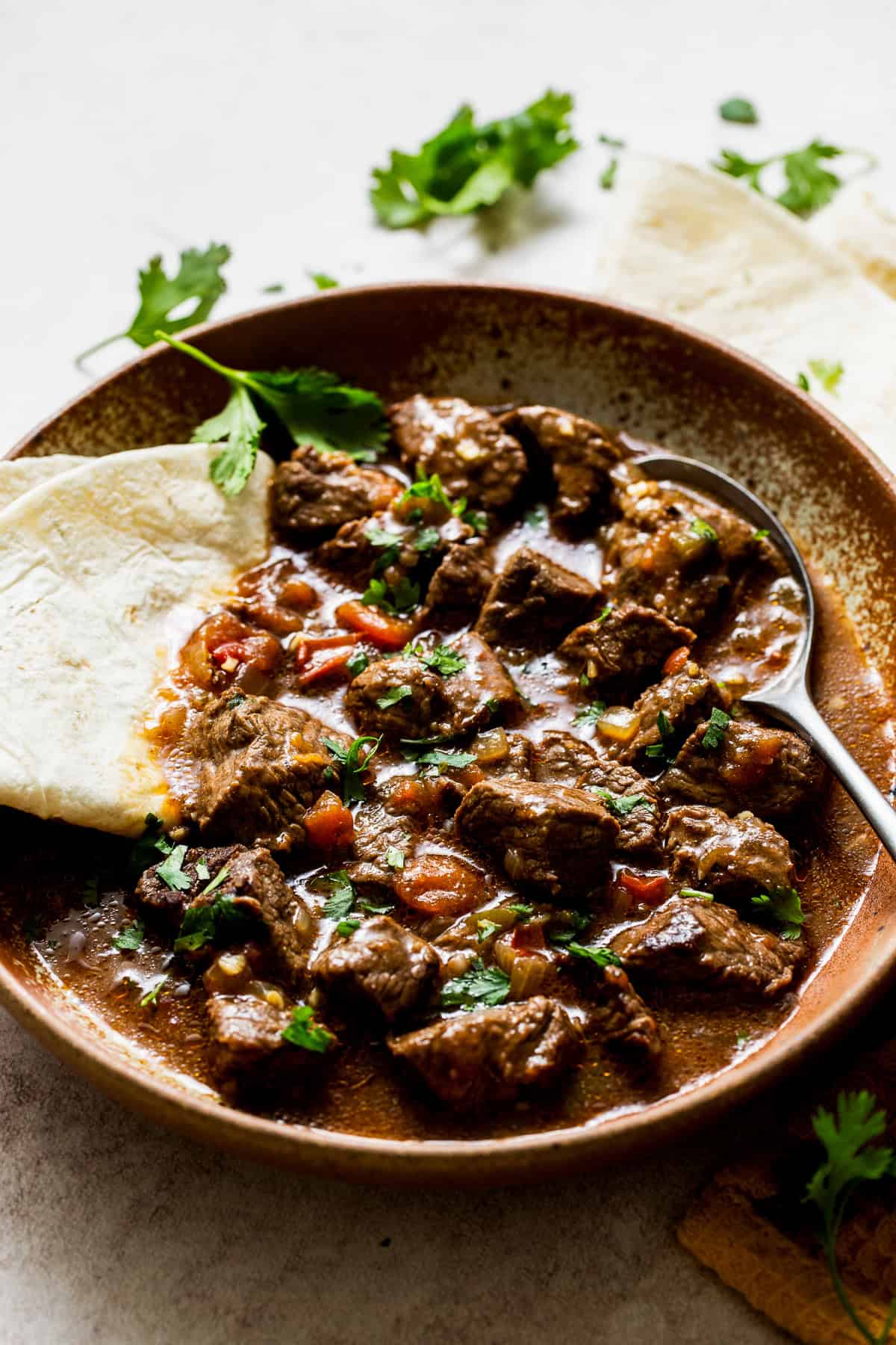 Carne guisada served on a plate with a flour tortilla on the side