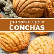 Pumpkin Conchas