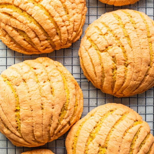 Pumpkin conchas on a wire rack baked and ready to eat.