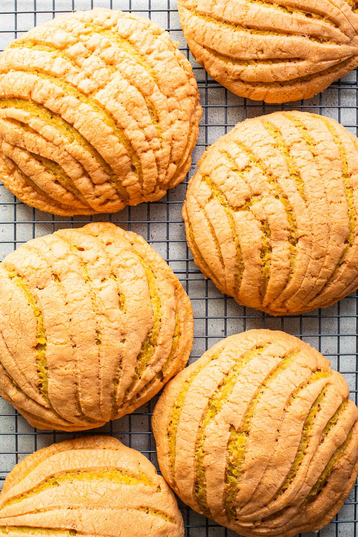 Pumpkin conchas on a wire rack baked and ready to eat.