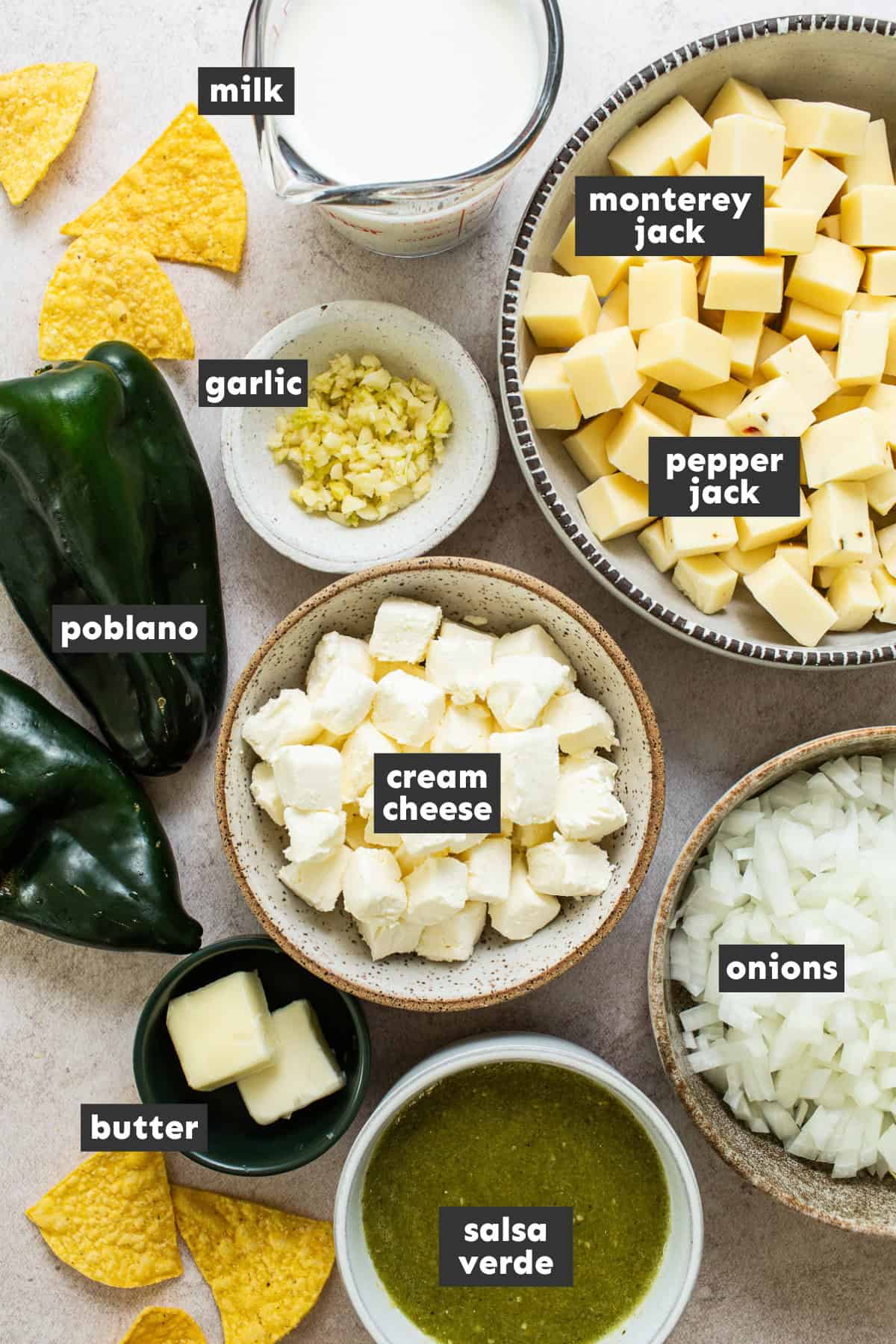 Ingredients for salsa verde queso dip laid out on a table ready to be used.