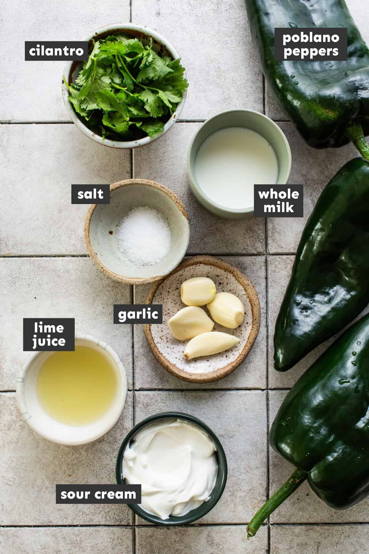 All the ingredients for poblano cream sauce are laid out on a table ready to use for this recipe. 