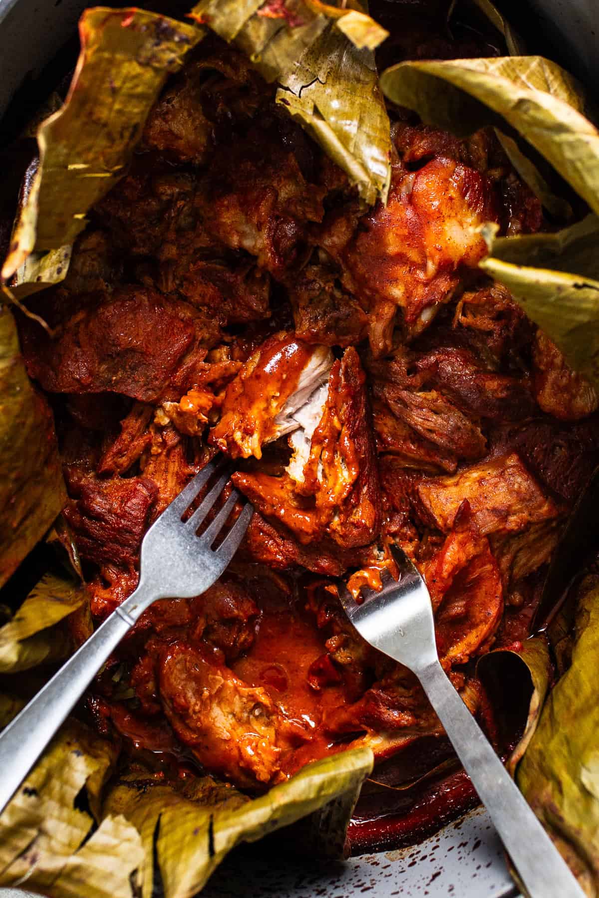 Slow cooked cochinita pibil being shredded with two forks.